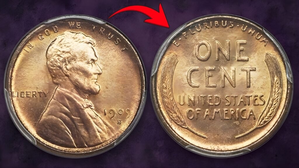 1909-S V.D.B. Lincoln Wheat Cent Guide — How to Identify, Grade, and Value Yours